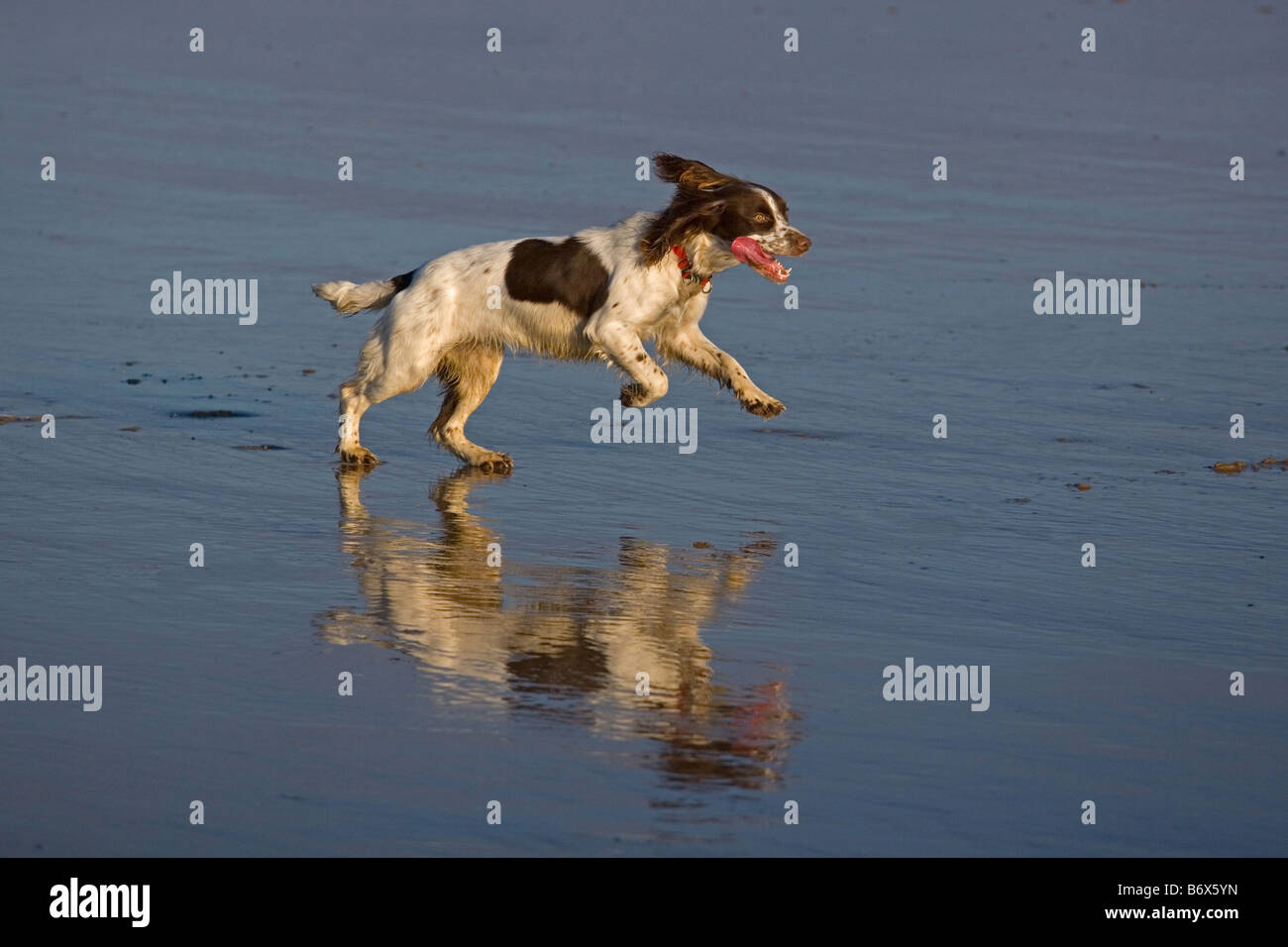 Running flat hires stock photography and images Alamy