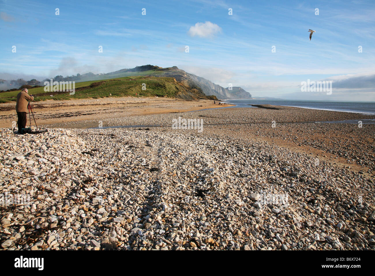 Photographer taking the view along the beach at Charmouth looking towards Golden Cap the highest cliff on the south coast 618ft Stock Photo