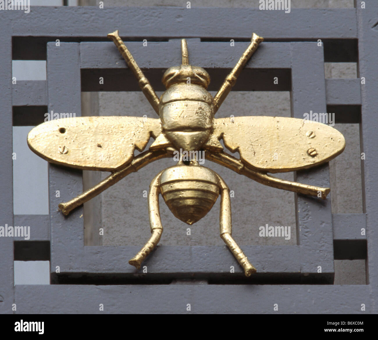Fly Hygiene & Tropical Medicine Stock Photo