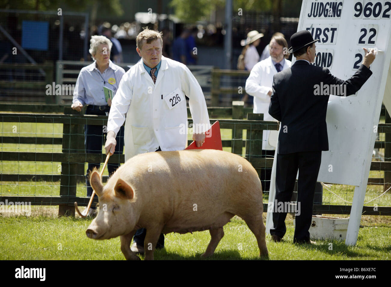 A pig farmer parades his animal around a judging ring at the Royal Show at Stoneleigh Warwickshire UK Stock Photo