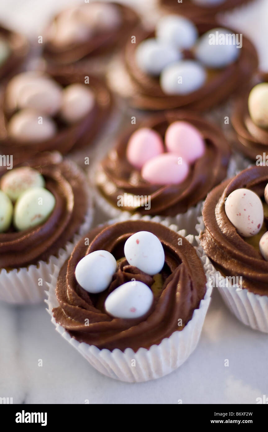 Decorated chocolate chip cakes with chilli chocolate topping nest and