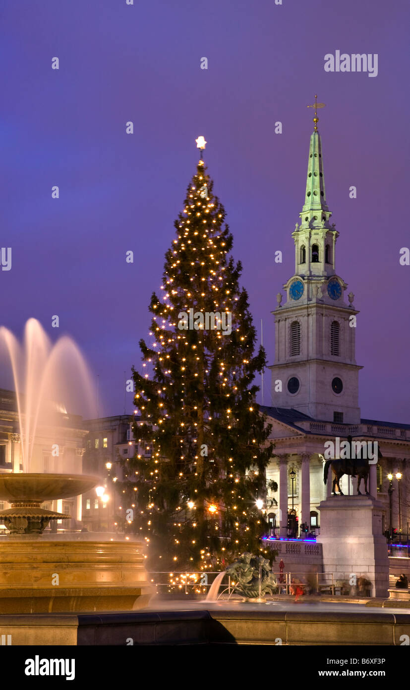 Christmas tree and St Martins in field church,trafalgar square,London,england Stock Photo