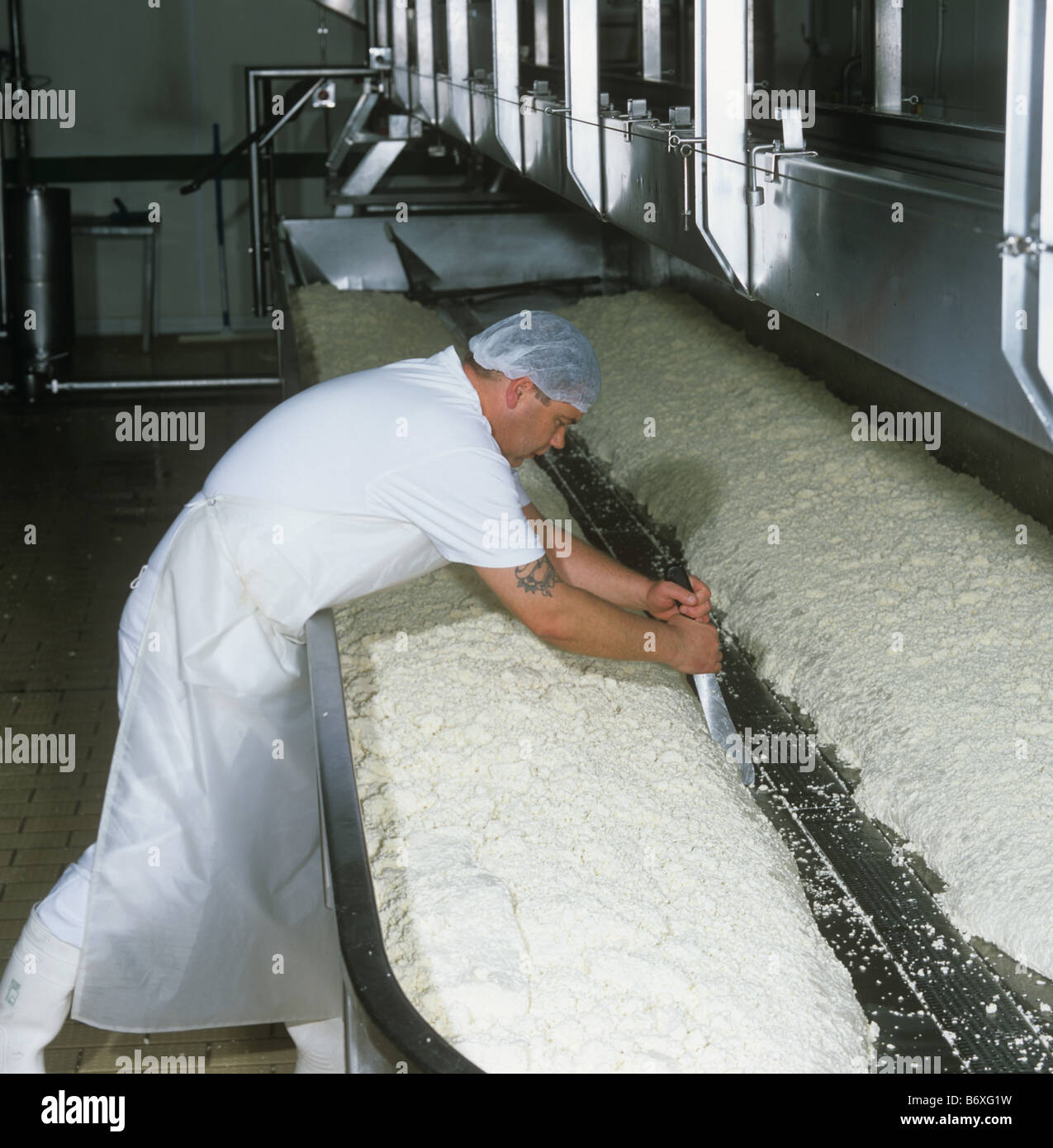 Cutting cheddar cheese curds blocks hires stock photography and images