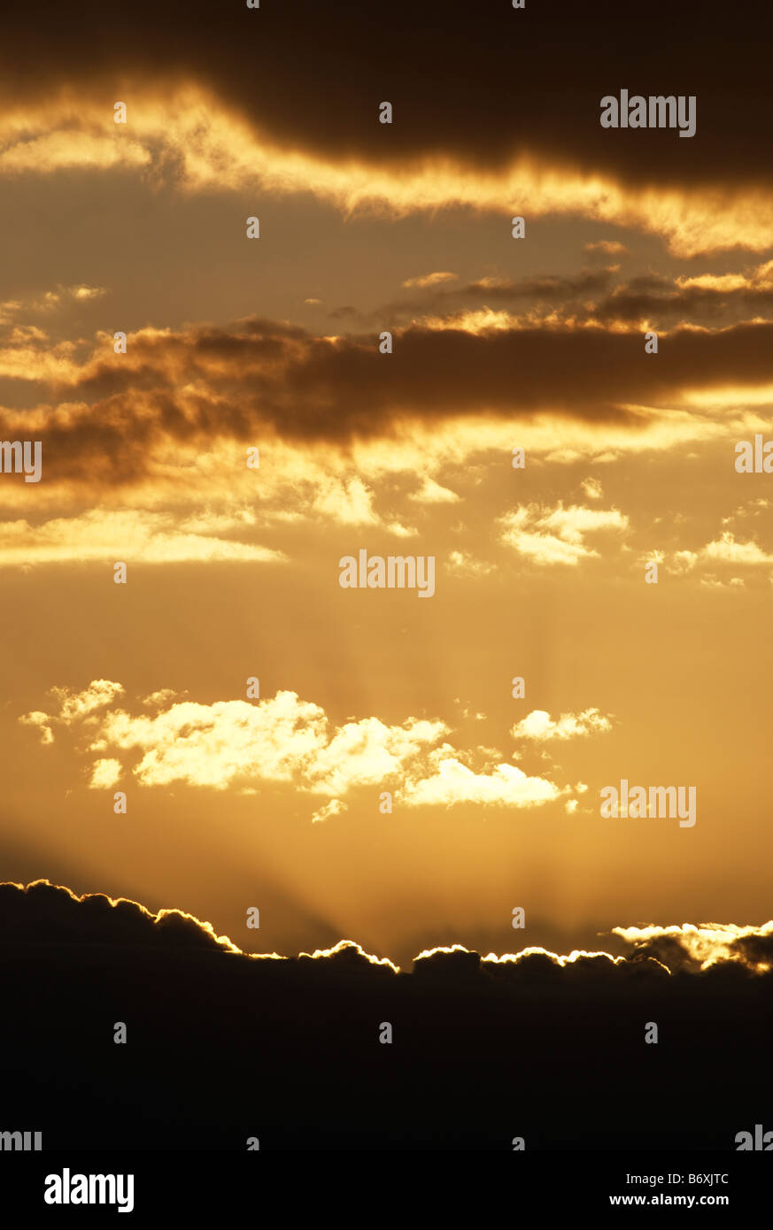 Golden rays of light Stock Photo - Alamy