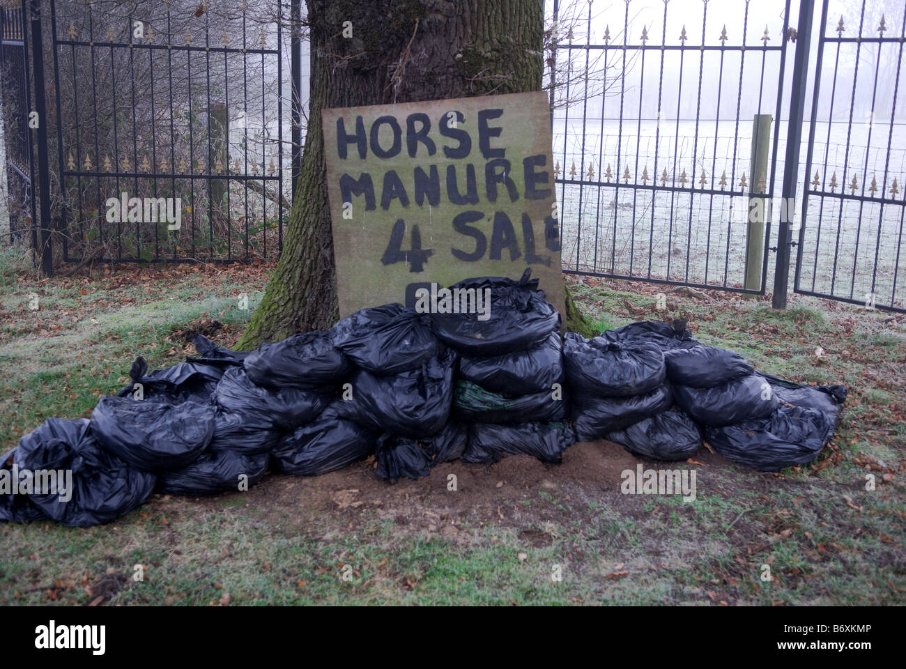 Horse Manure For Sale Stock Photo Alamy