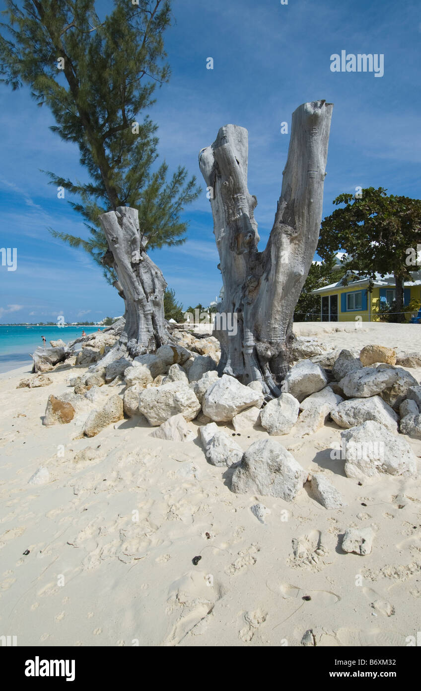 Seven Mile Beach Grand Cayman Cayman Islands Caribbean Stock Photo - Alamy