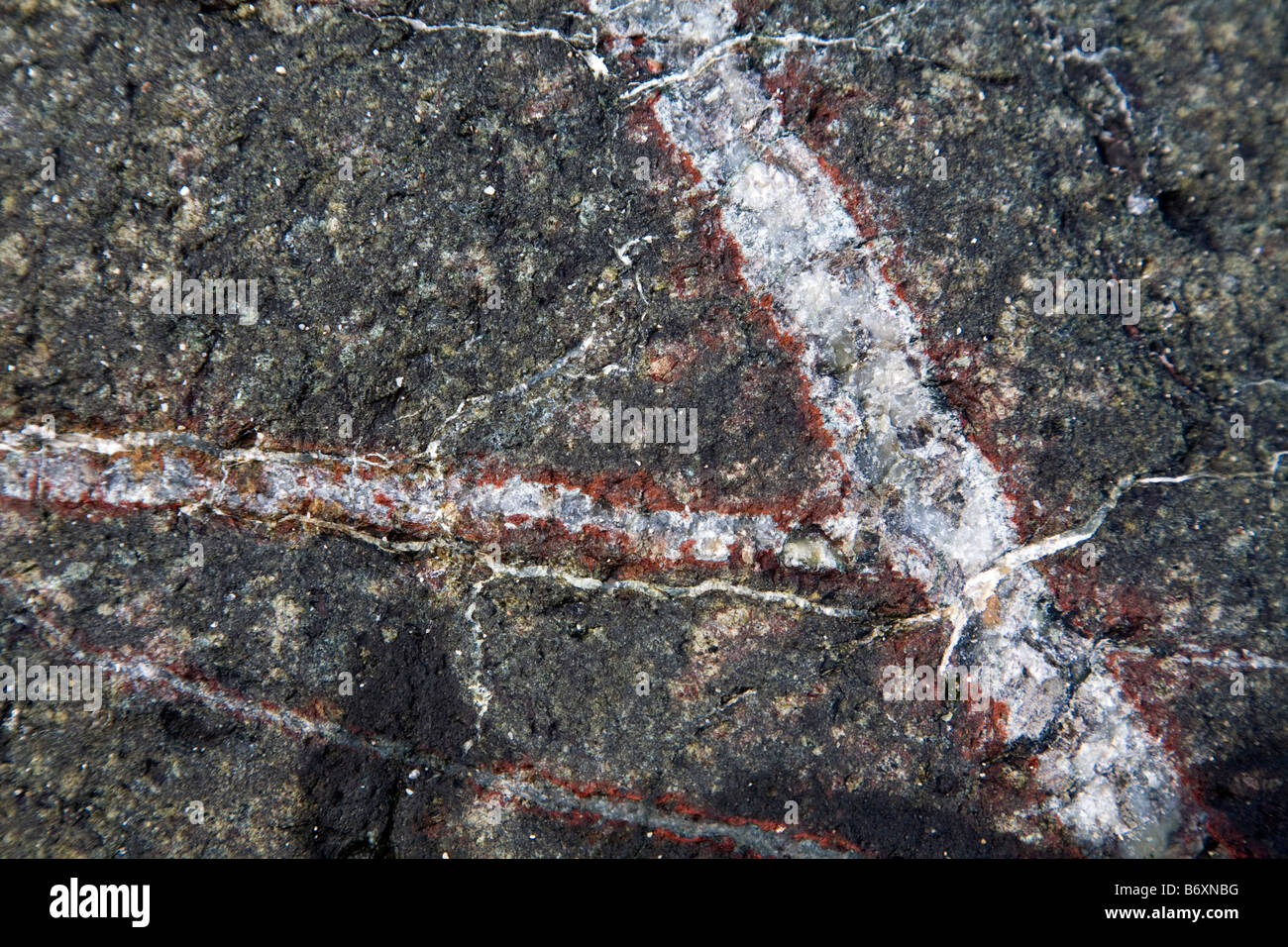 gabbro vein in serpentine coverack cornwall Stock Photo