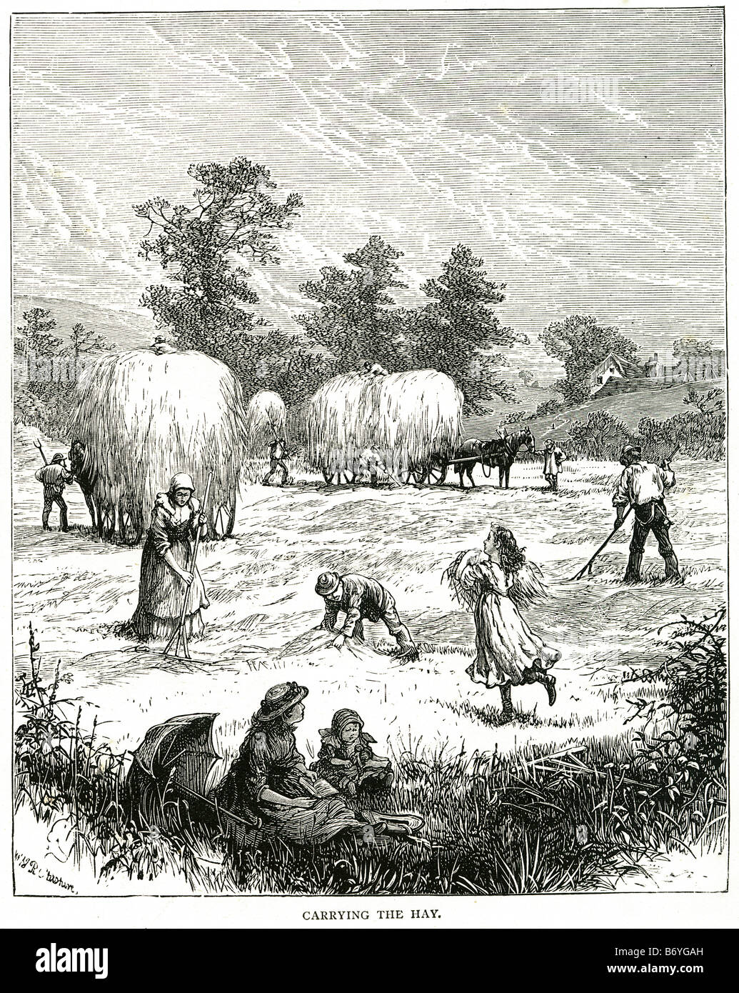 Baby Farming 19th Century