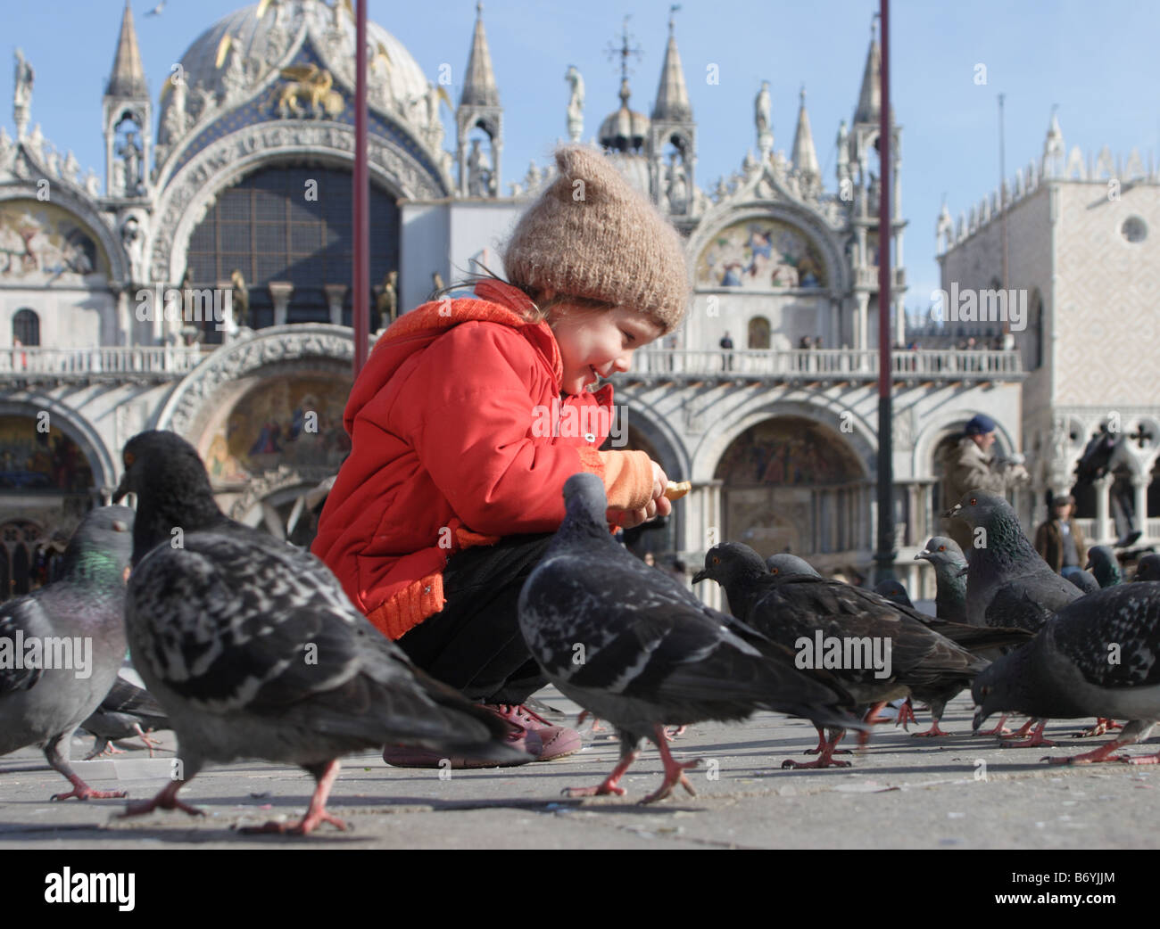 Child feeding pigeons in Venice Stock Photo Alamy