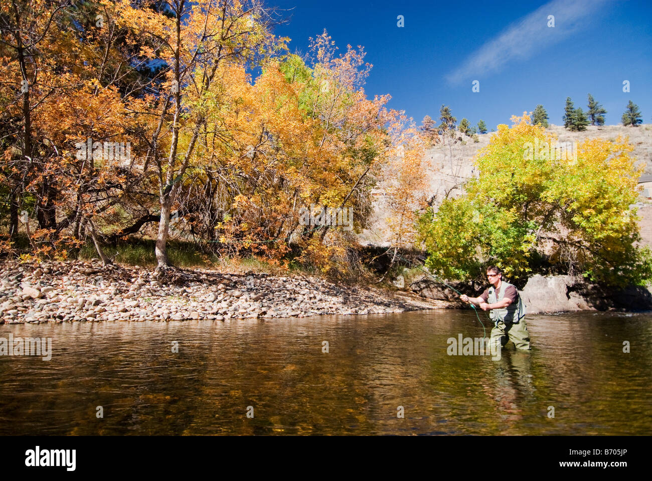 A man fly fishing in the Cache La Poudre River in autumn near Fort