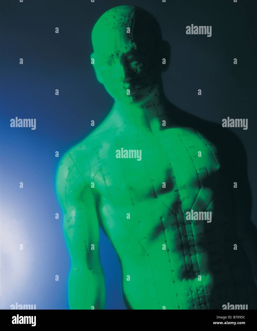 Body points hi-res stock photography and images - Alamy