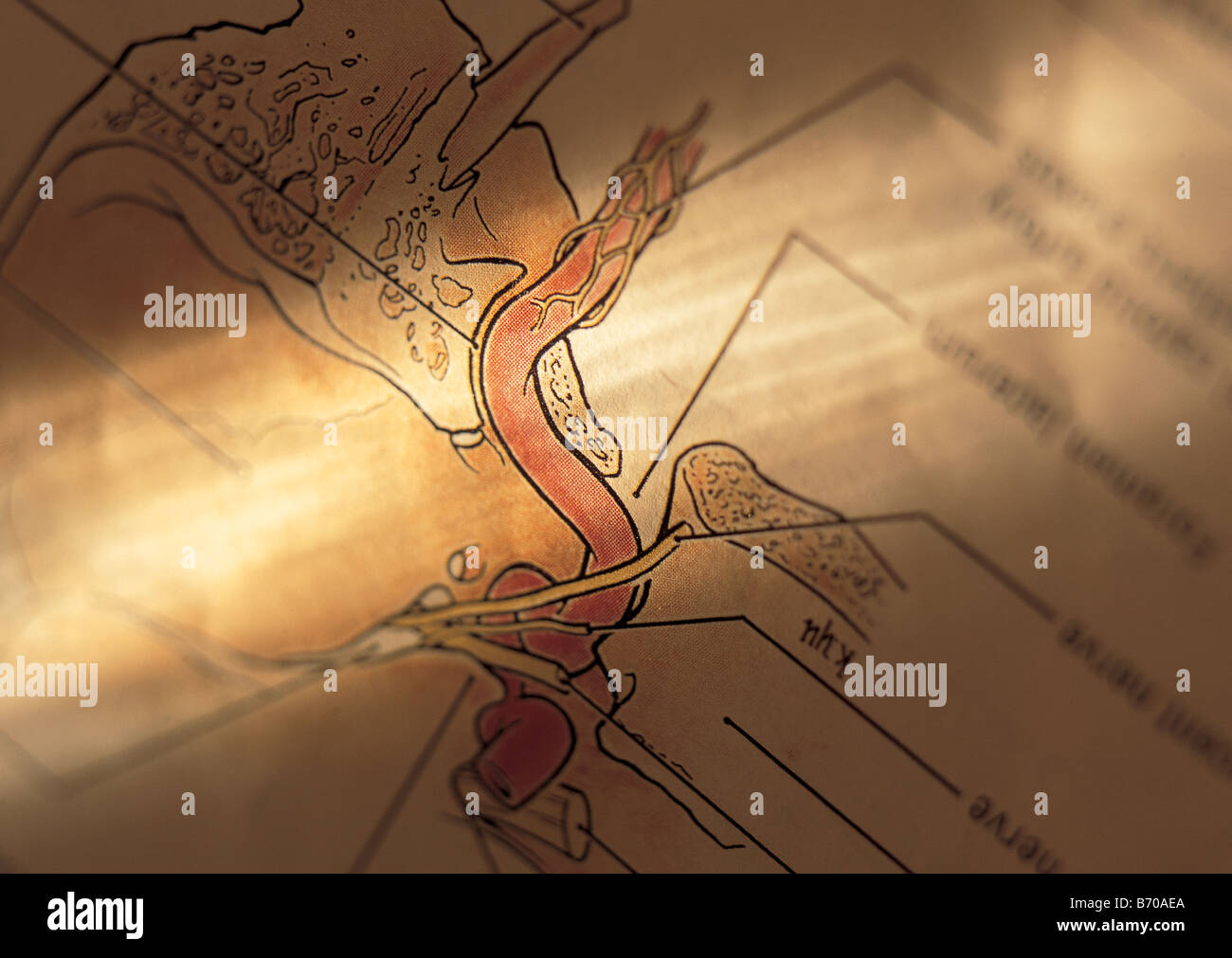 illustration within textbook Stock Photo - Alamy