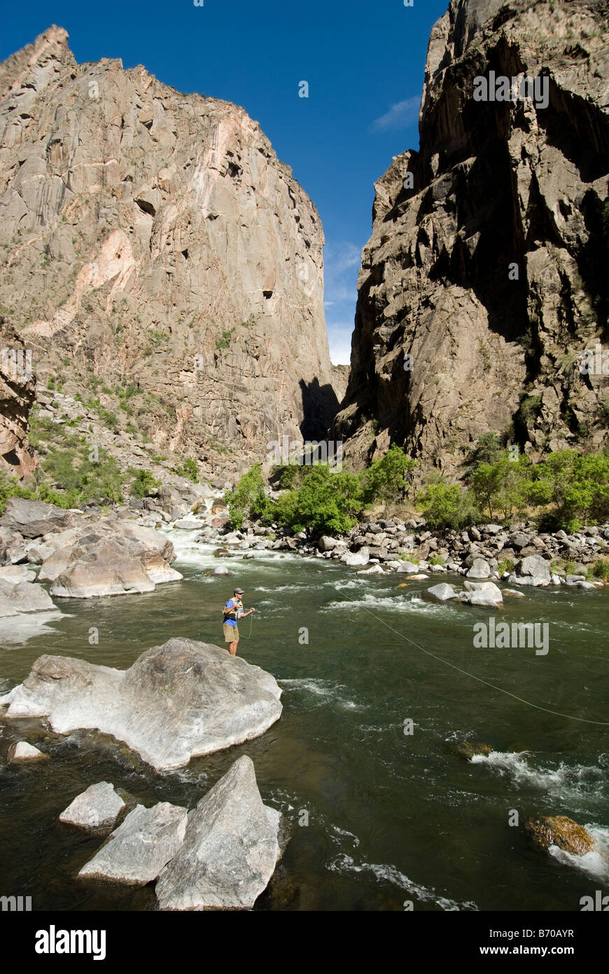 Man fly fishing in the Black Canyon of the Gunnison, Colorado Stock