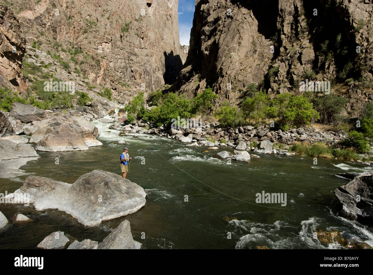 Man fly fishing in the Black Canyon of the Gunnison, Colorado Stock