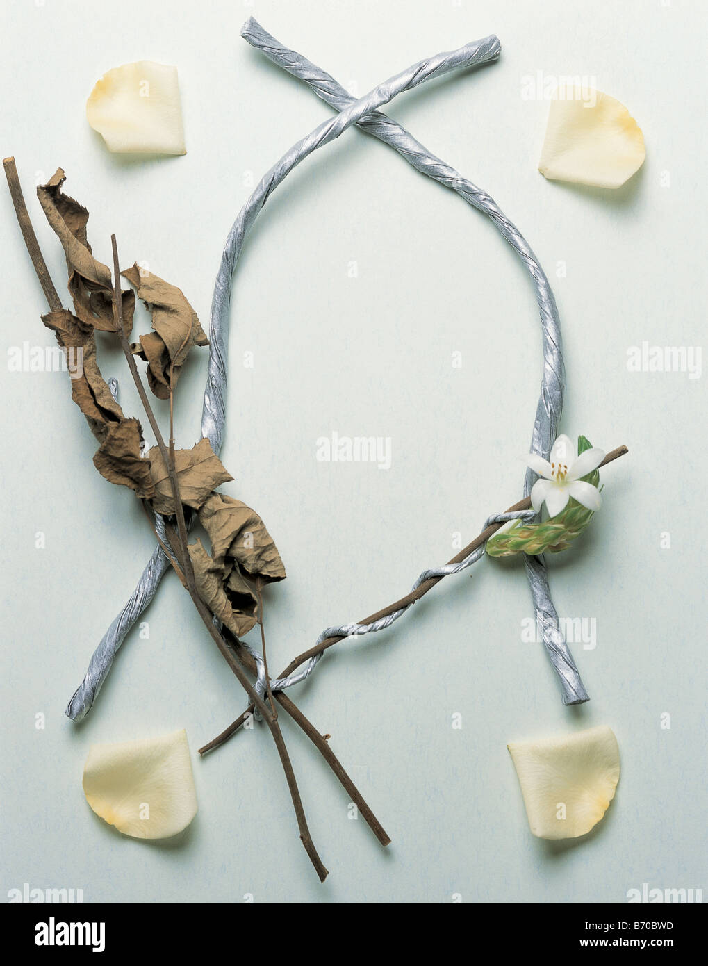 Petals and branches form a frame Stock Photo Alamy