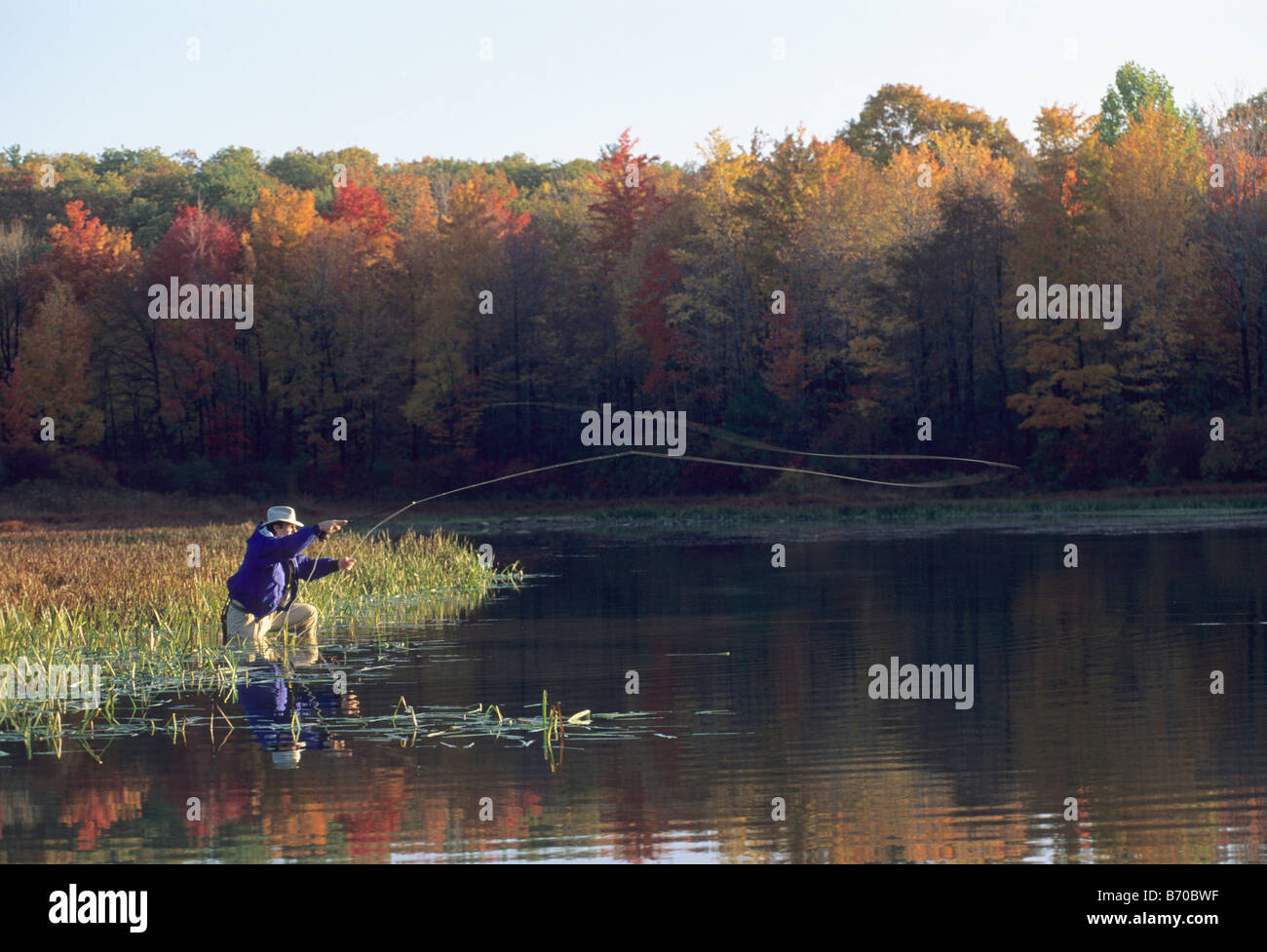 A person fly fishing in Pennsylvania Stock Photo Alamy