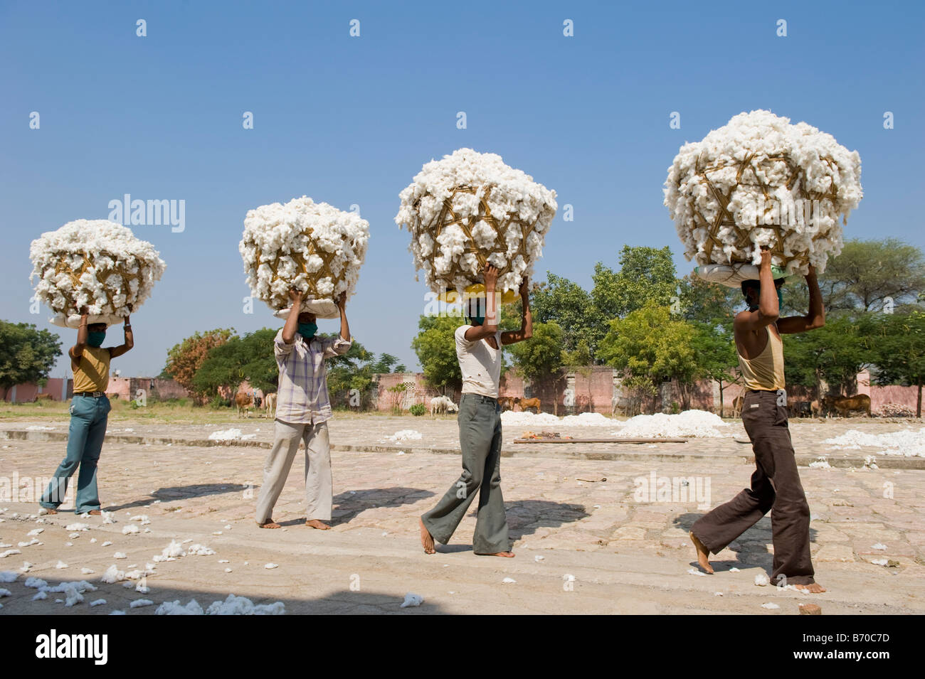 Ginning factory hires stock photography and images Alamy