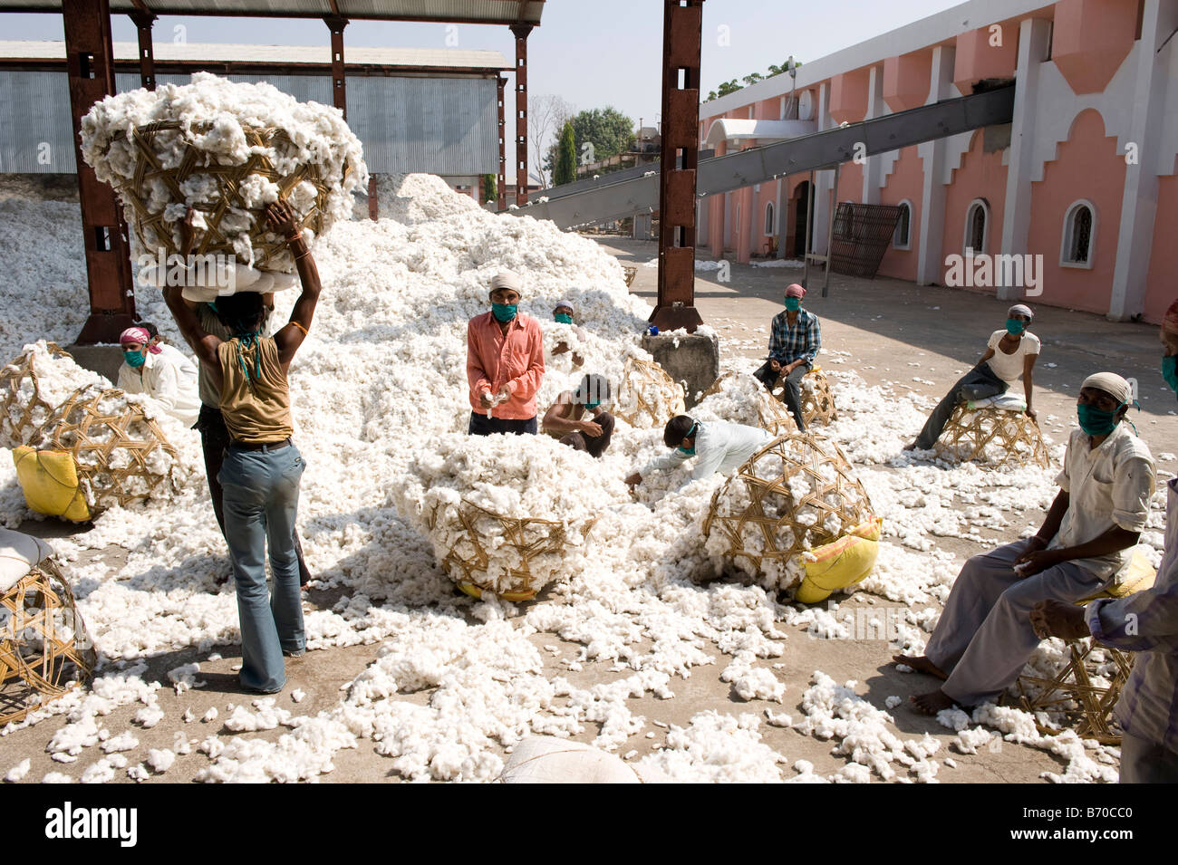 INDIA, Madhya Pradesh, Indore , Mahima ginning factory for fair trade