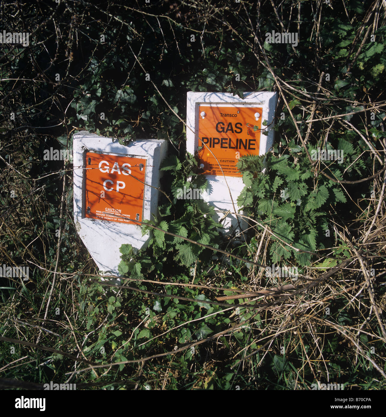 Gas pipeline markers on short concrete posts placed in Devon hedgerow Stock Photo