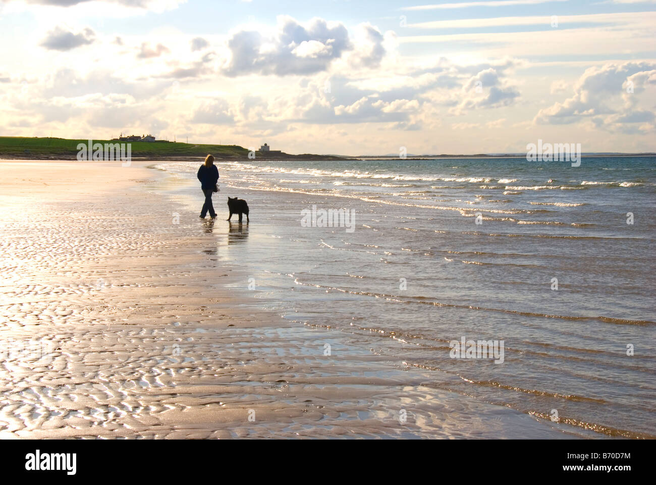 Woman and dog walking on deserted beach under evening sky Stock Photo ...