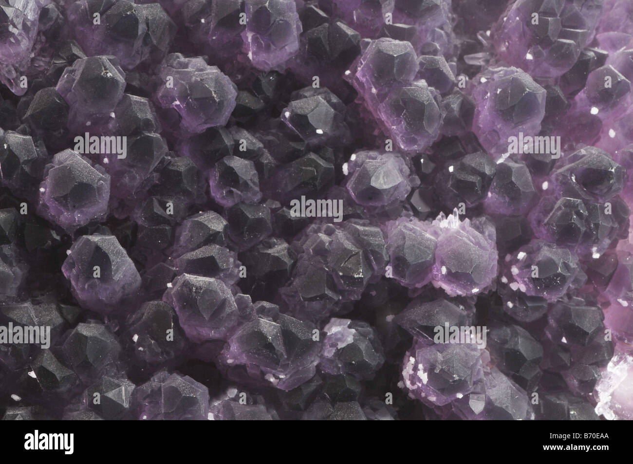 amethyst a form of quartz Stock Photo - Alamy
