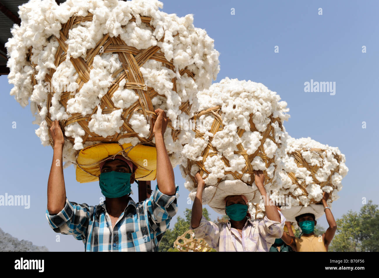 INDIA, Madhya Pradesh, Indore , Mahima ginning factory for fair trade