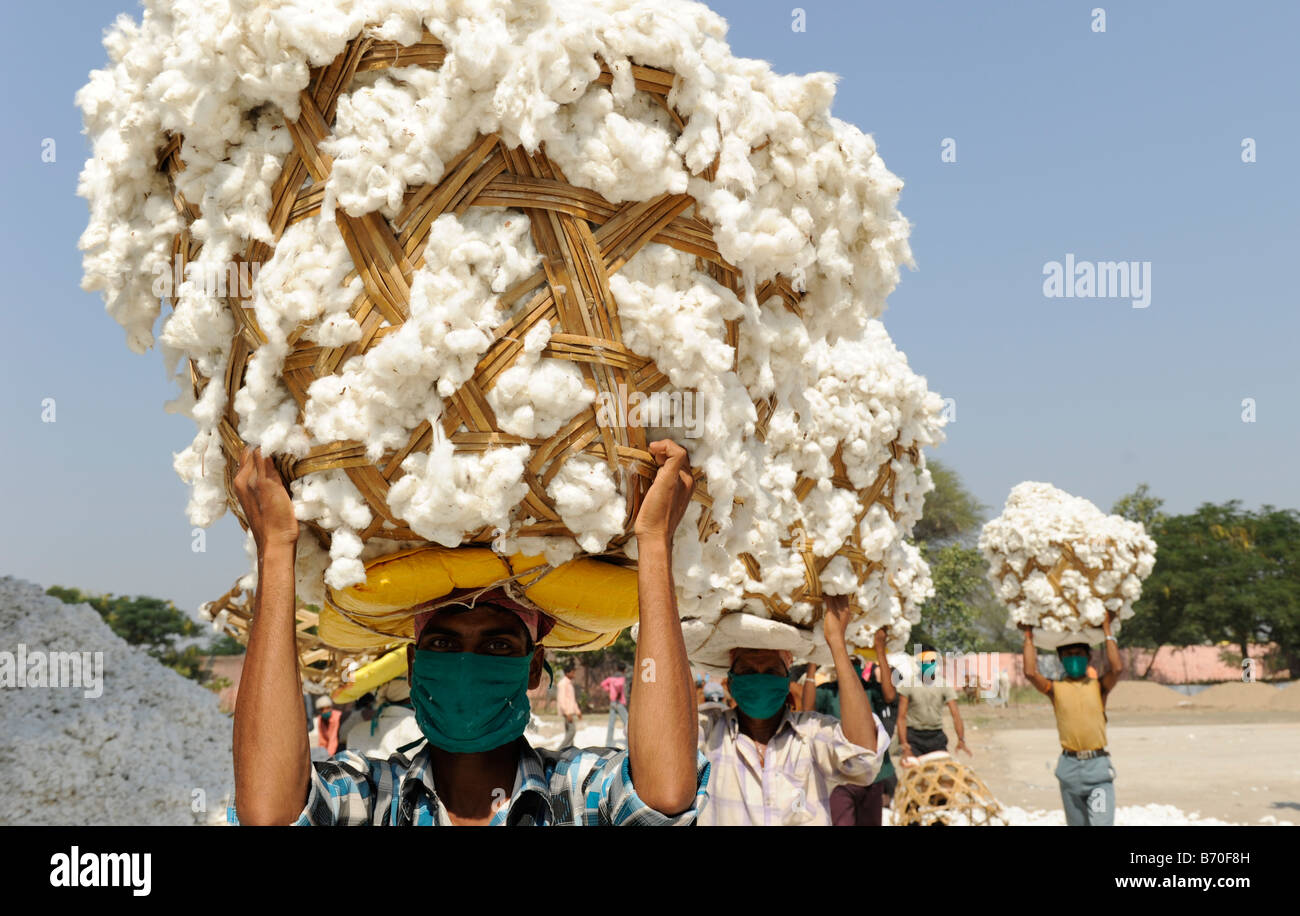 INDIA, Madhya Pradesh, Indore , Mahima ginning factory for fair trade