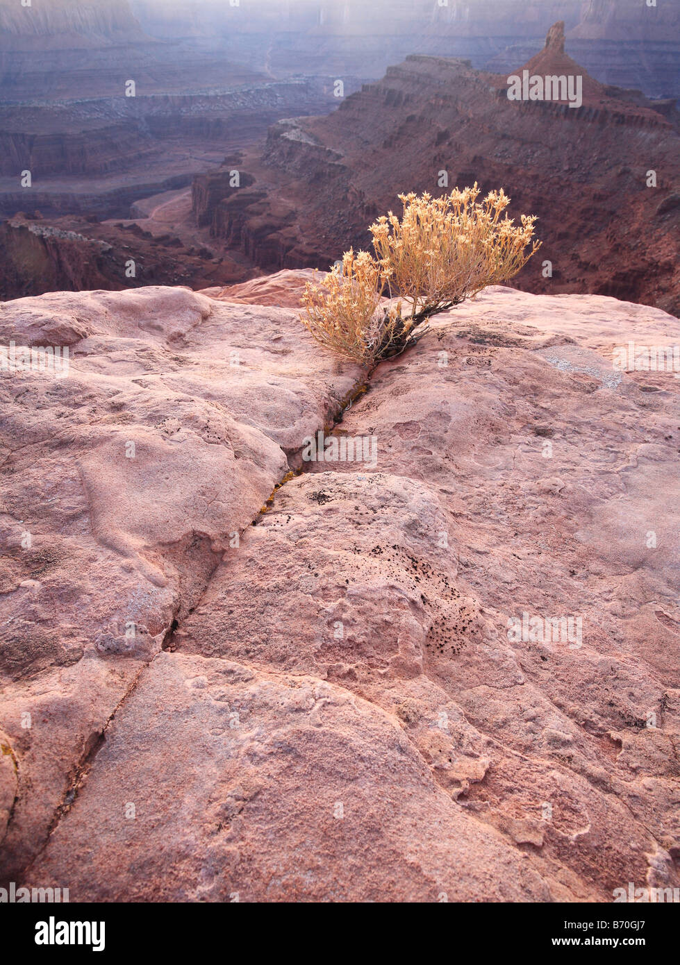 Dead horse point rock formation hi-res stock photography and images - Alamy