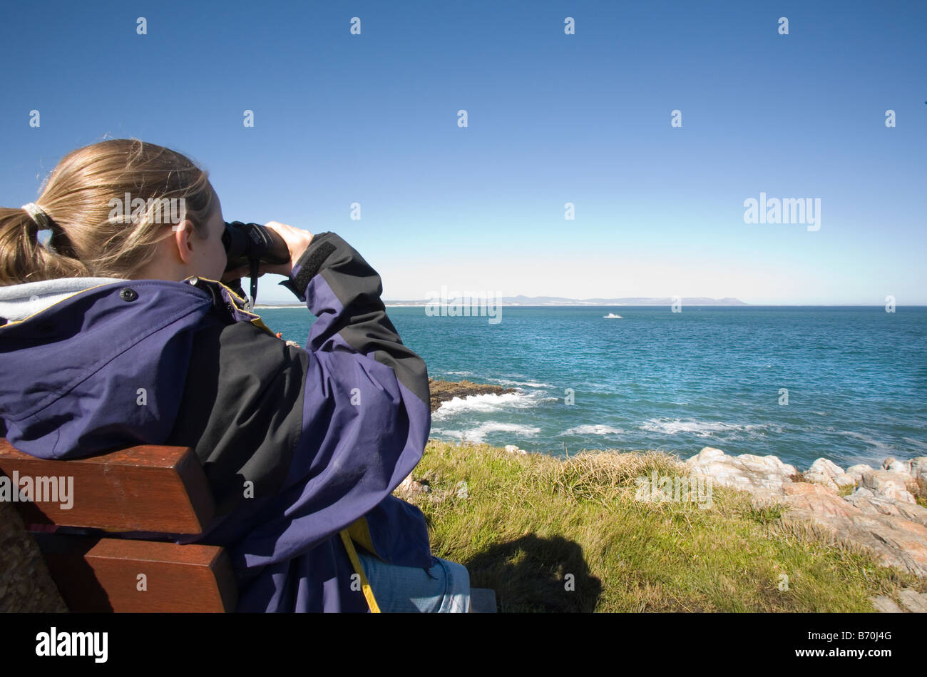 whale watching for southern right whales at hermanus south africa Stock Photo Alamy whale watching for southern right whales at hermanus south africa Stock Photo Alamy