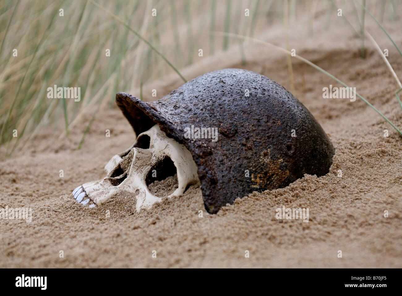 German d day war helmet with a skull inside in the sands on  Utah Beach Normandy France Stock Photo
