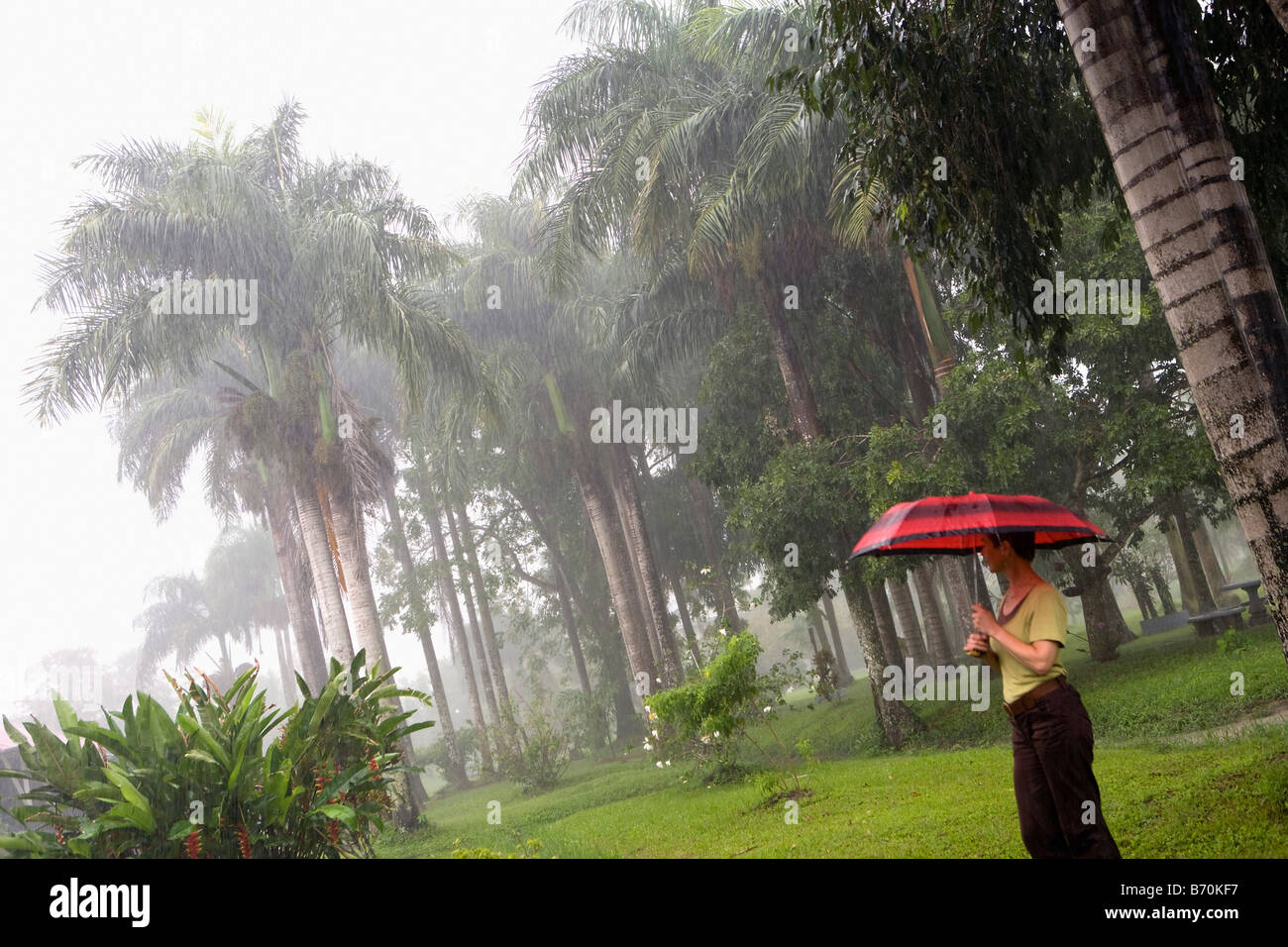 Suriname, Paramaribo, Restored plantation called Frederiksdorp at the Commewijne river. Now hotel. Woman in rain. Stock Photo