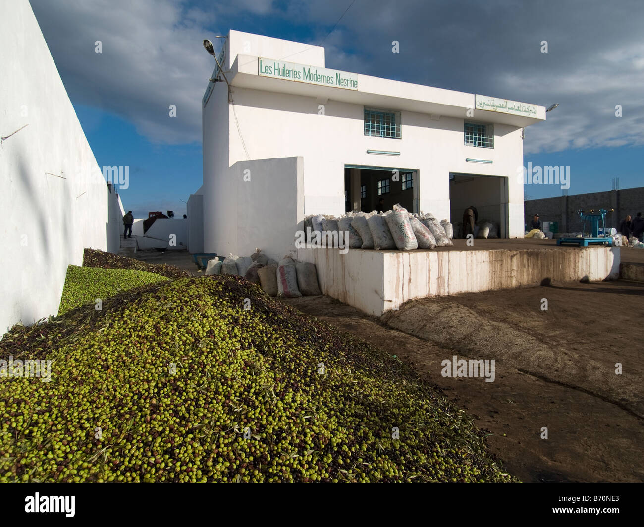 Exterior of a modern olive pressing factory near Hammamet Tunisia. Piles of olives foreground Stock Photo