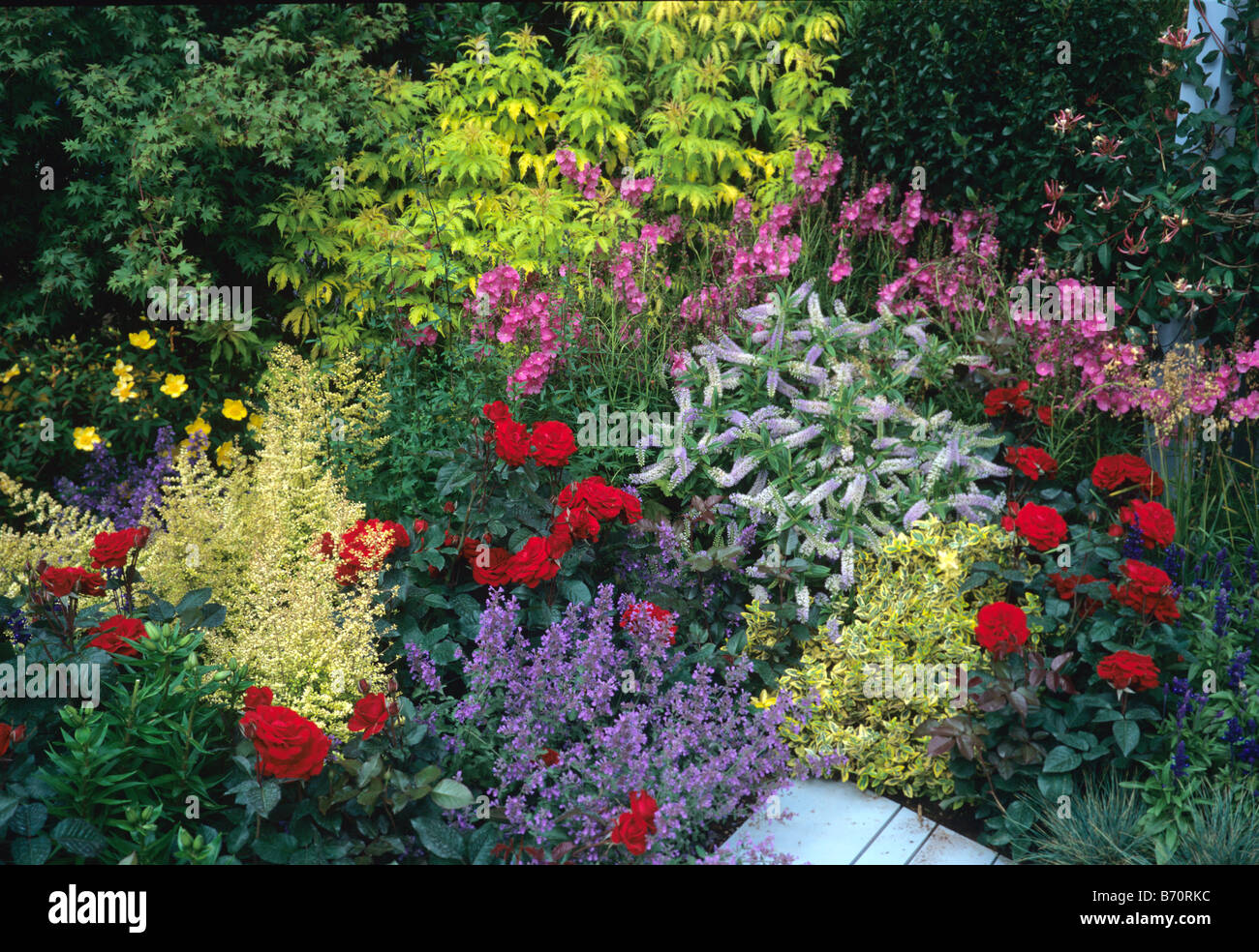 An attractive flower border with plant combinations Stock Photo