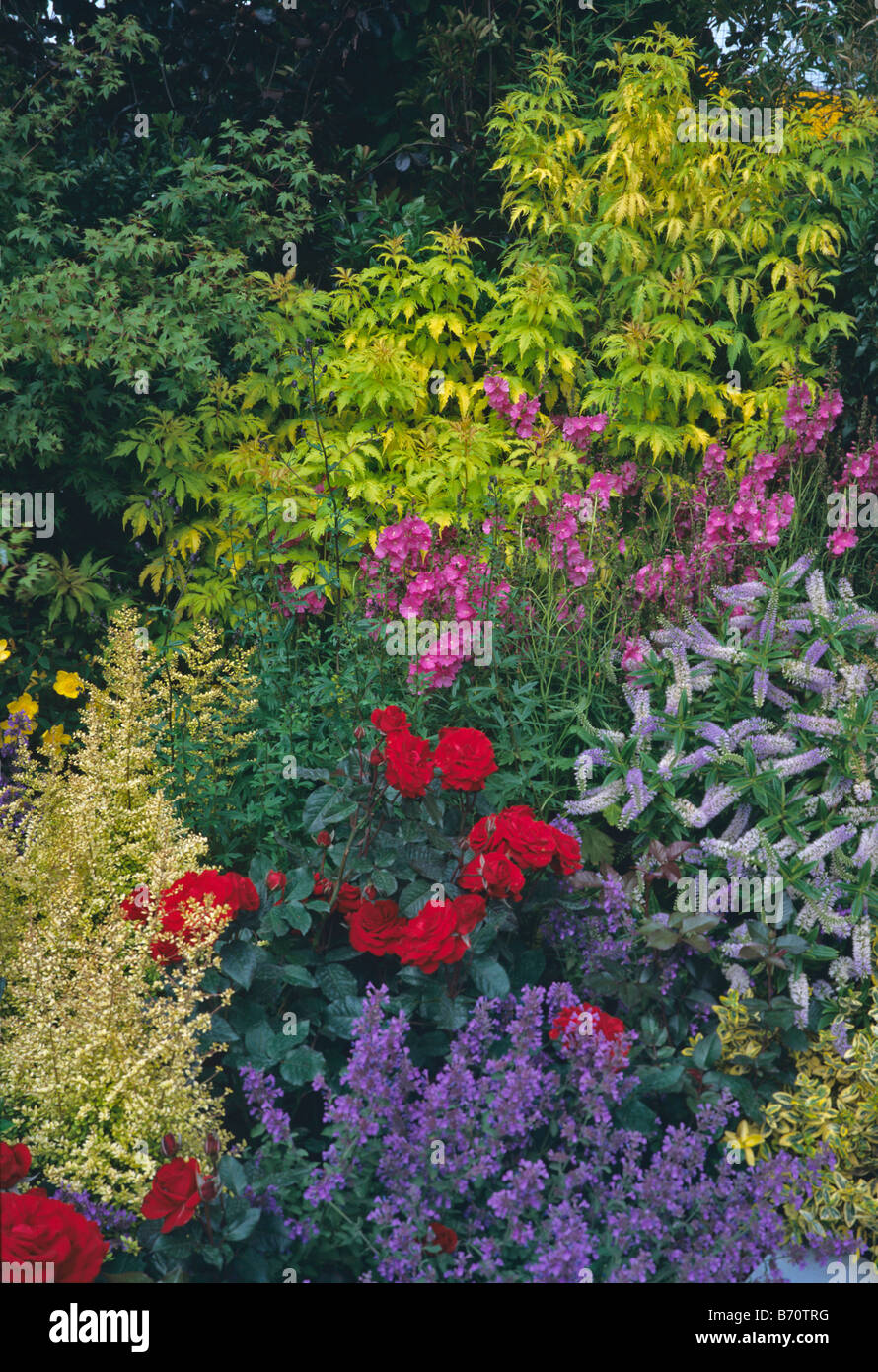 A colourful mixed flower border with interesting planting Stock Photo