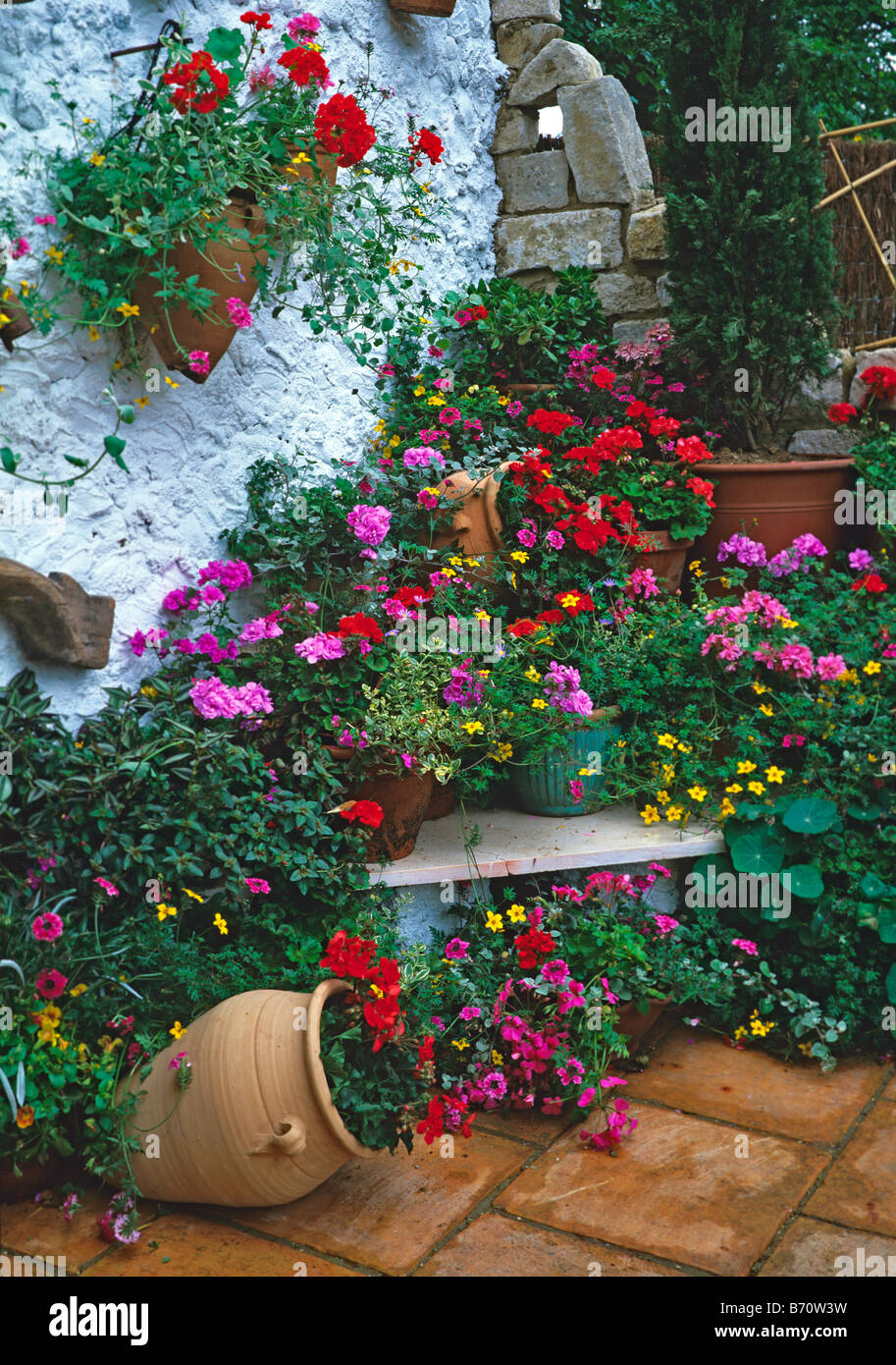 Colourful Mediterranean garden with planted containers against a white painted wall Stock Photo