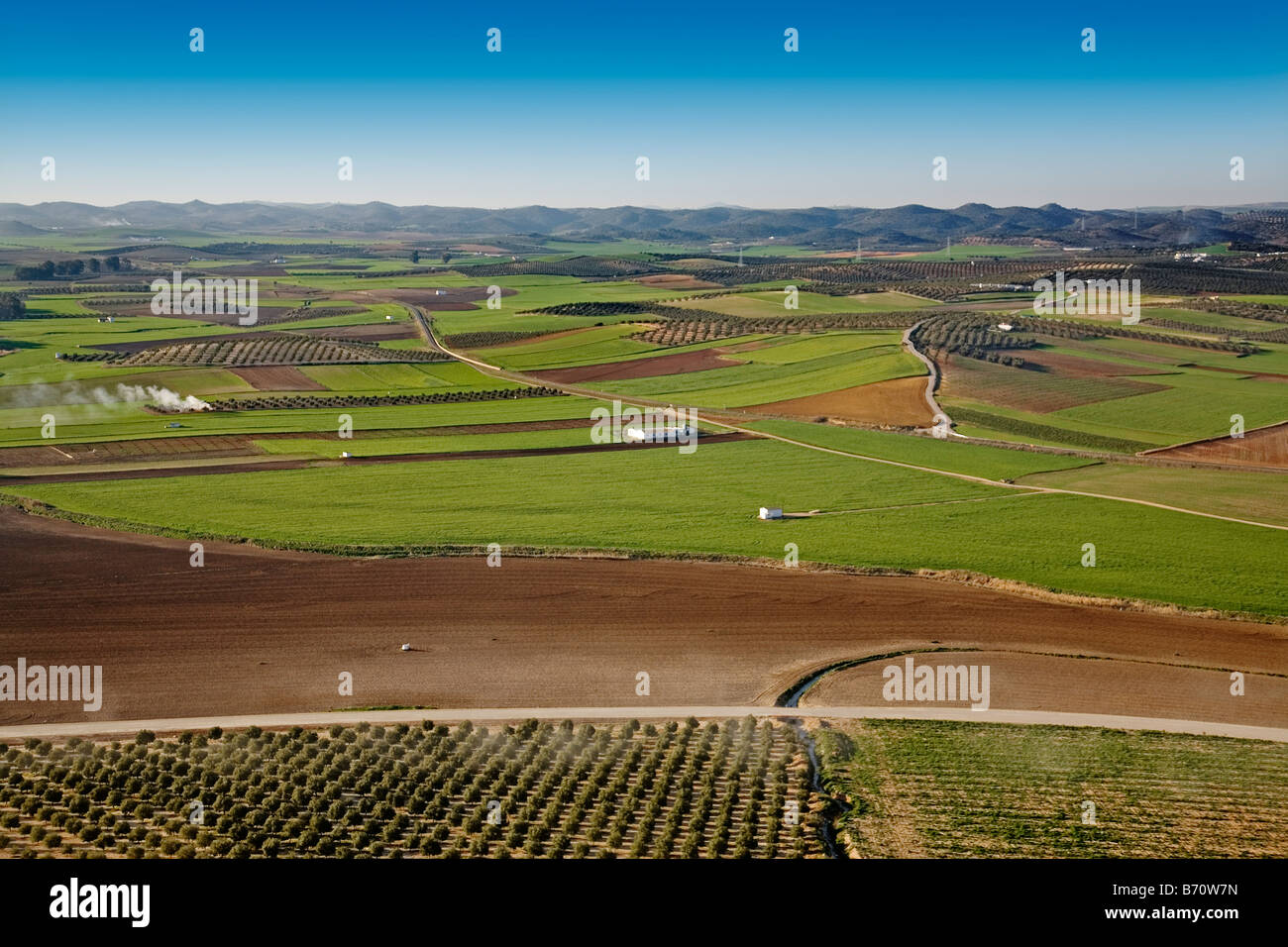 vista de campos de cultivo en teba malaga andalucia españa view of farmland in Teba malaga vista de campos de cultivo en teba malaga andalucia españa view of farmland in Teba malaga