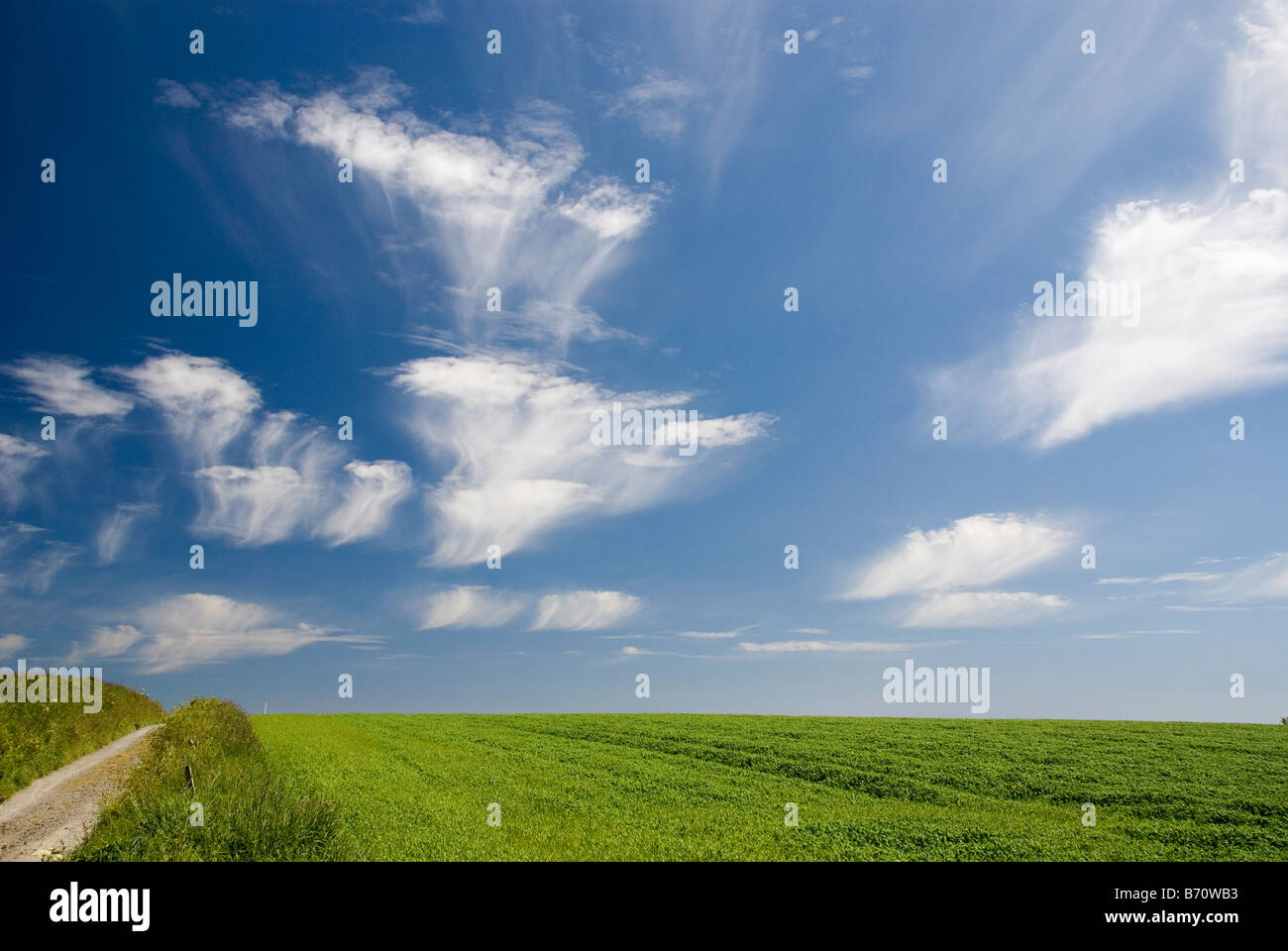 Summer sky and cloud scape over field, the Lizard Cornwall Stock Photo