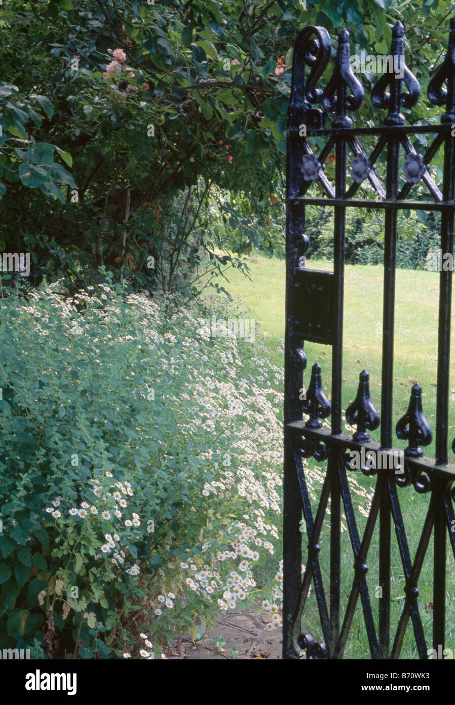 Black wrought iron gate open to country garden with white feverfew in ...