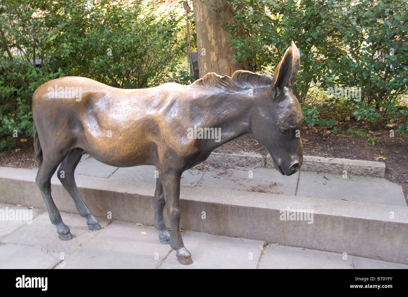 Bronze donkey boston hires stock photography and images Alamy