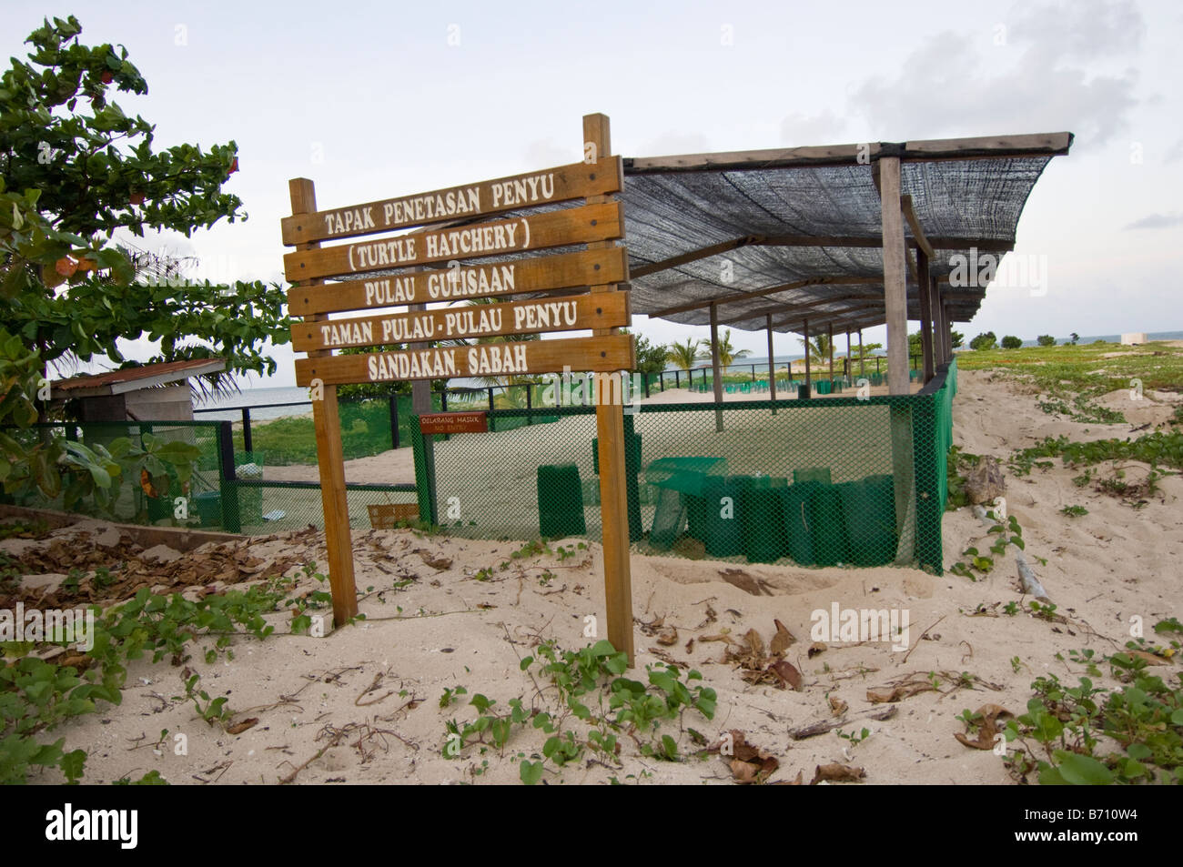Turtle hatchery in the Turtle Island National Park, sabah, Malaysia. Stock Photo