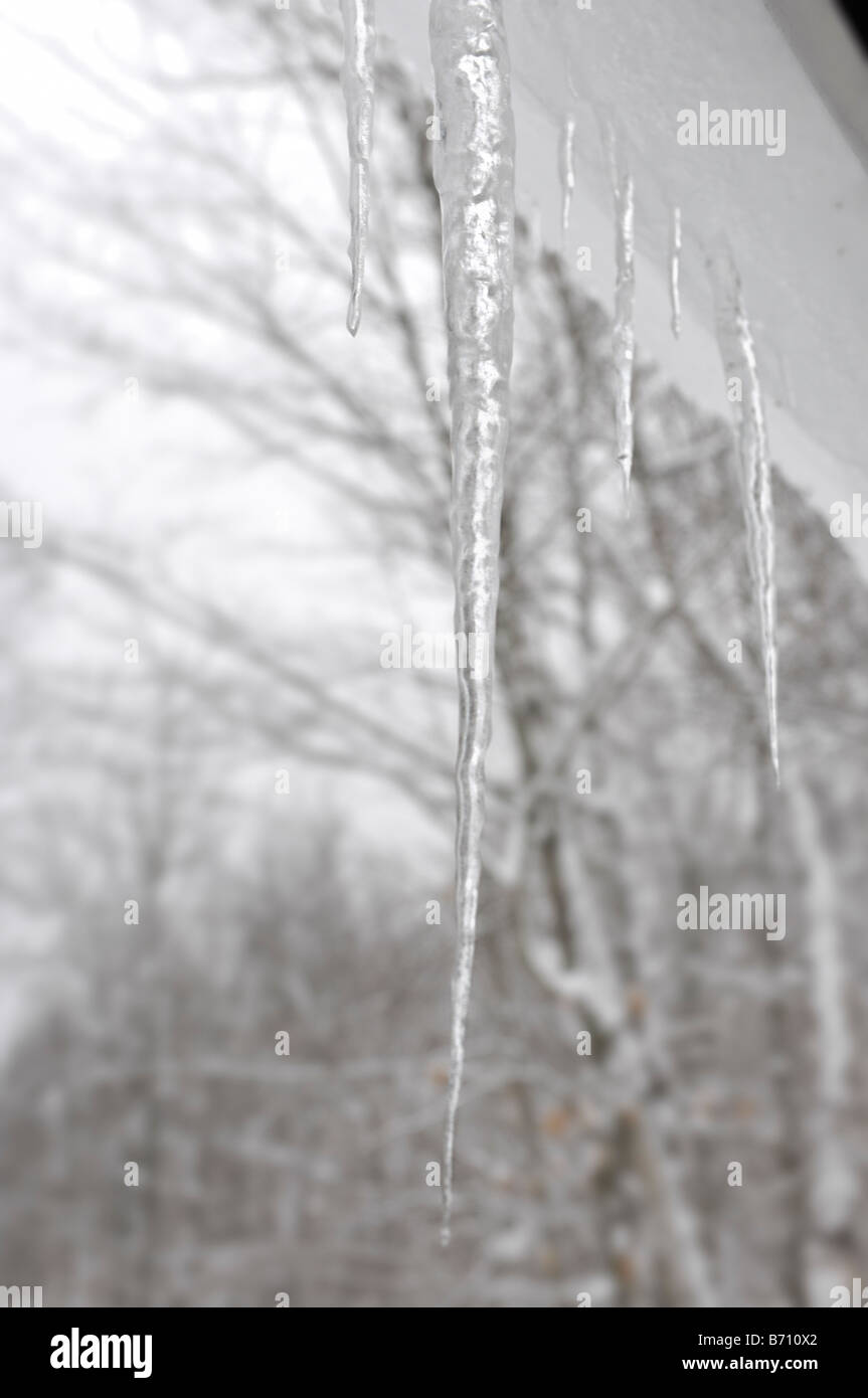 Icicles Stock Photo