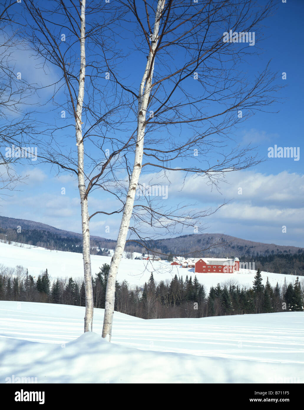 Scenic Farm in Winter Stock Photo - Alamy