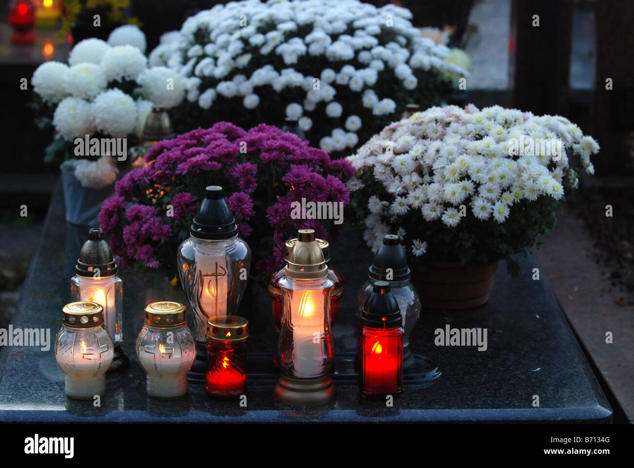 Chrysanthemum on grave in cemetery hires stock photography and images