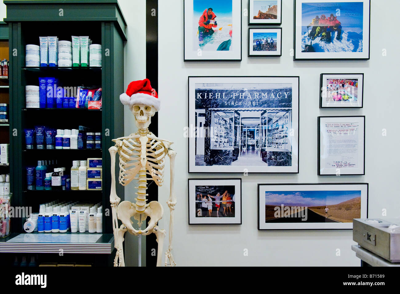 Florida West Palm Beach Gardens Shopping Mall center Xmas decoration at Kiehl Pharmacy skeleton with Father Christmas hat in department store Stock Photo