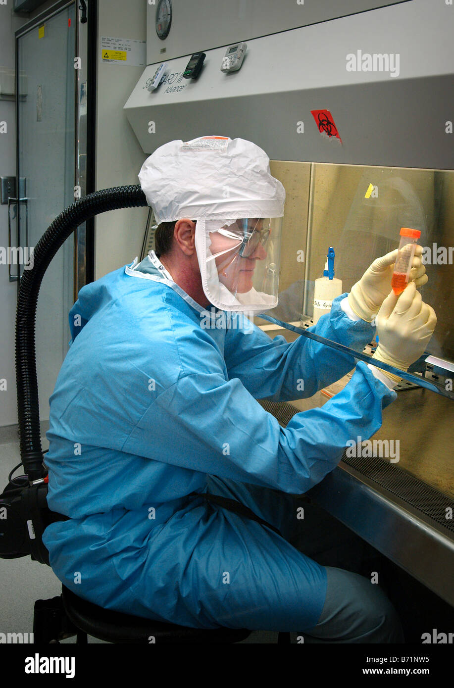 CDC Communicable Disease Center virologist Dr. Tumpey working in a ventilation hood with viruses Stock Photo