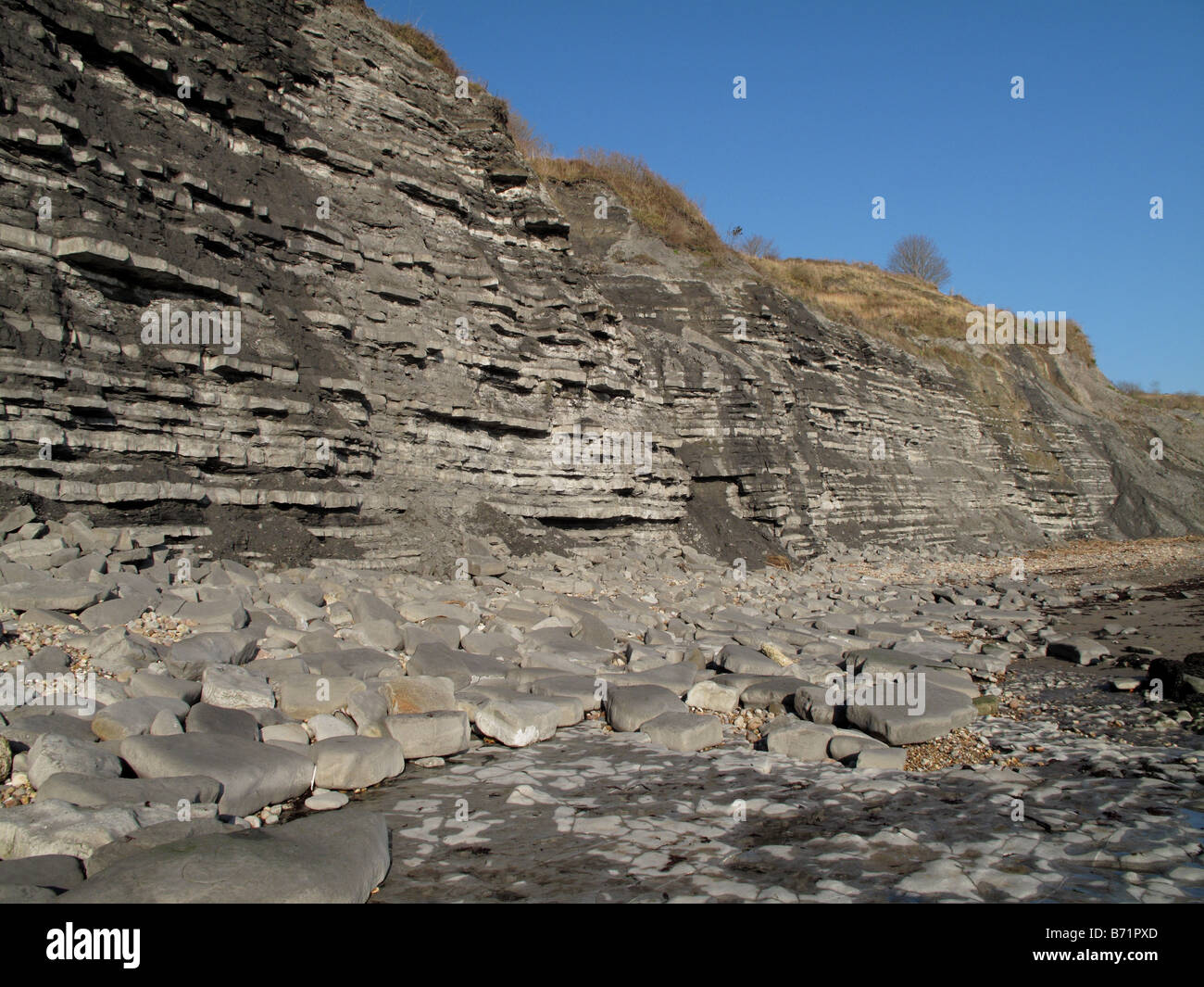 Famous fossil bearing blue lias cliffs on the Jurassic Coast at Lyme Regis in Dorset Stock Photo