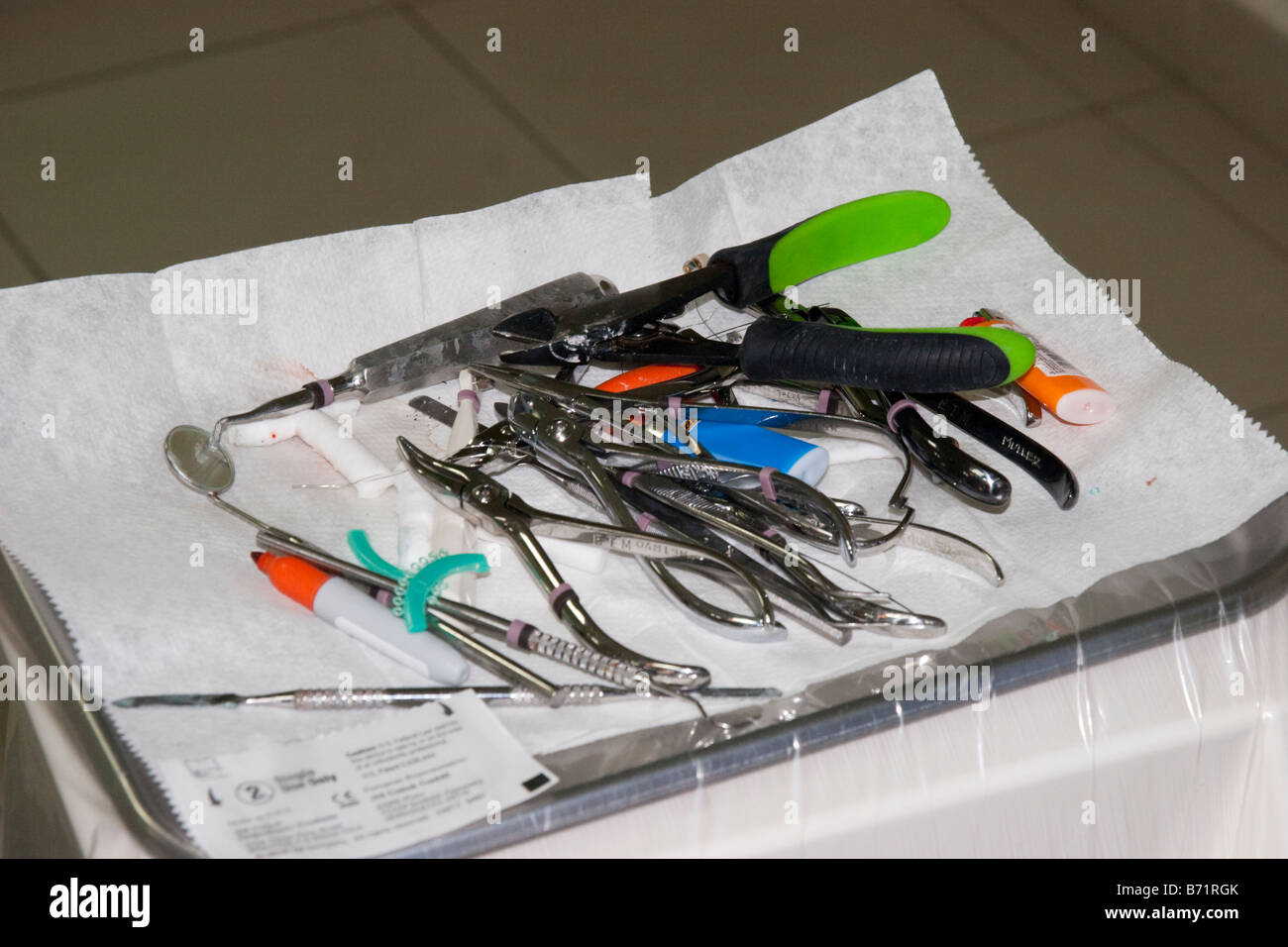 Dental instruments tray Stock Photo Alamy