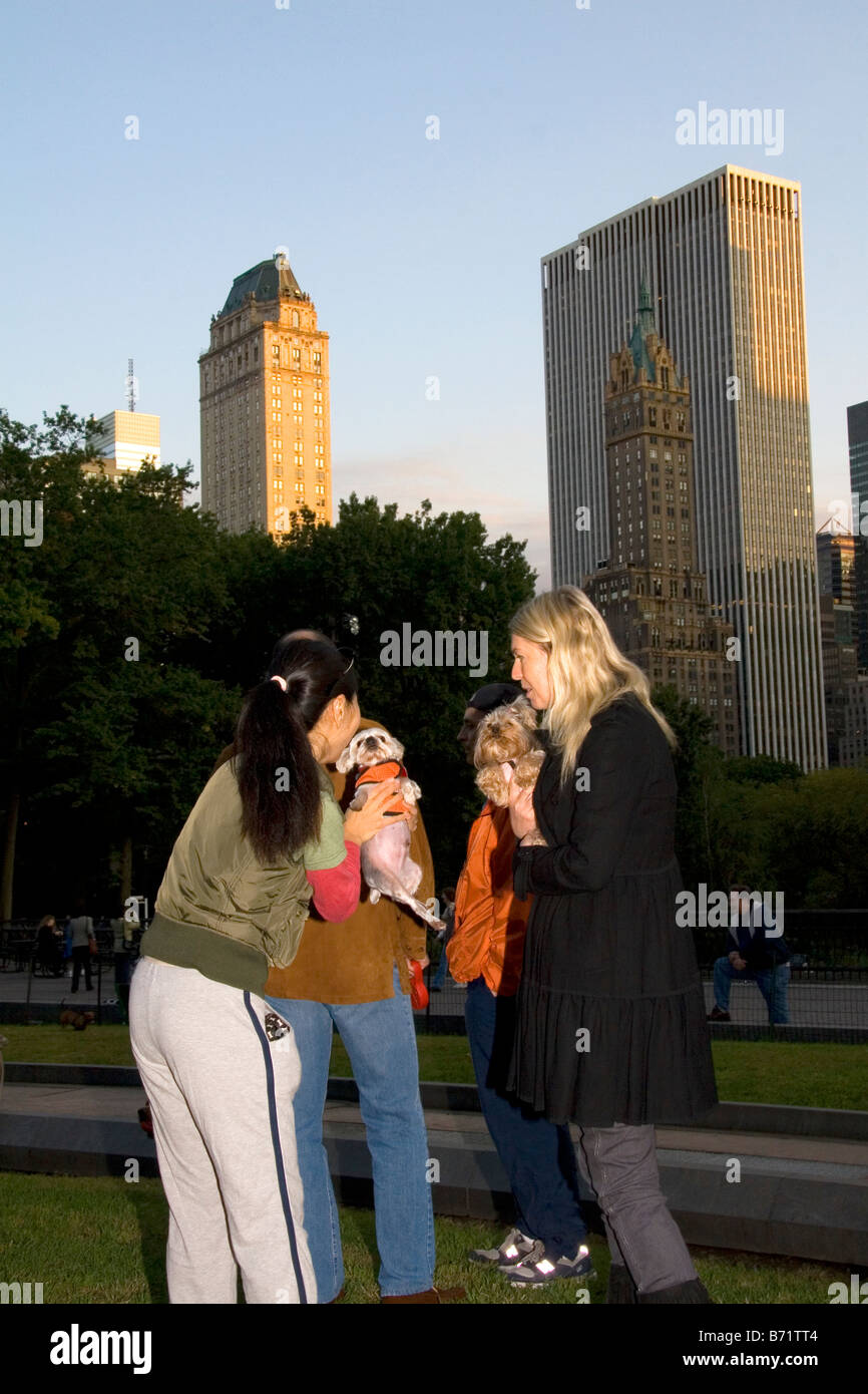Dog owners socialize in Central Park Manhattan New York City New York