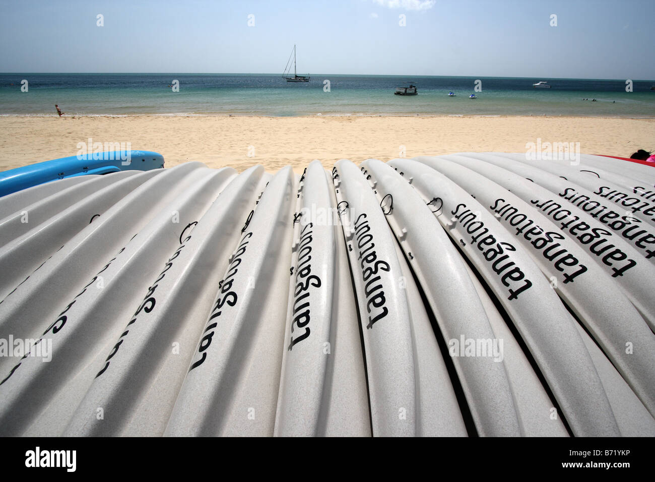 A ROW OF WHITE CANOES LINED UP ON A BEACH QUEENSLAND AUSTRALIA HORIZONTAL BDB11365 Stock Photo