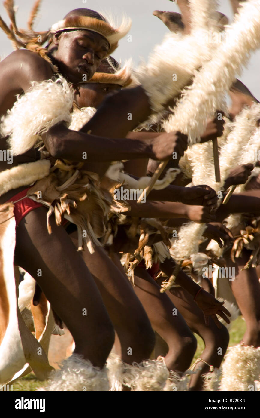 Zulu warriors show their moves at a dance competition in the KwaZulu-Natal province in South Africa. Stock Photo